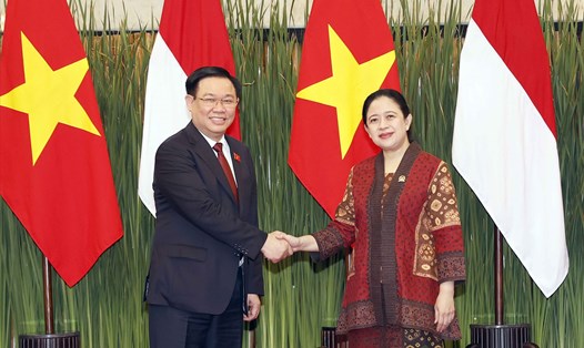 Chủ tịch Quốc hội Vương Đình Huệ và Chủ tịch 
Hạ viện Indonesia Puan Maharani hội đàm ngày 4.8. Ảnh: TTXVN