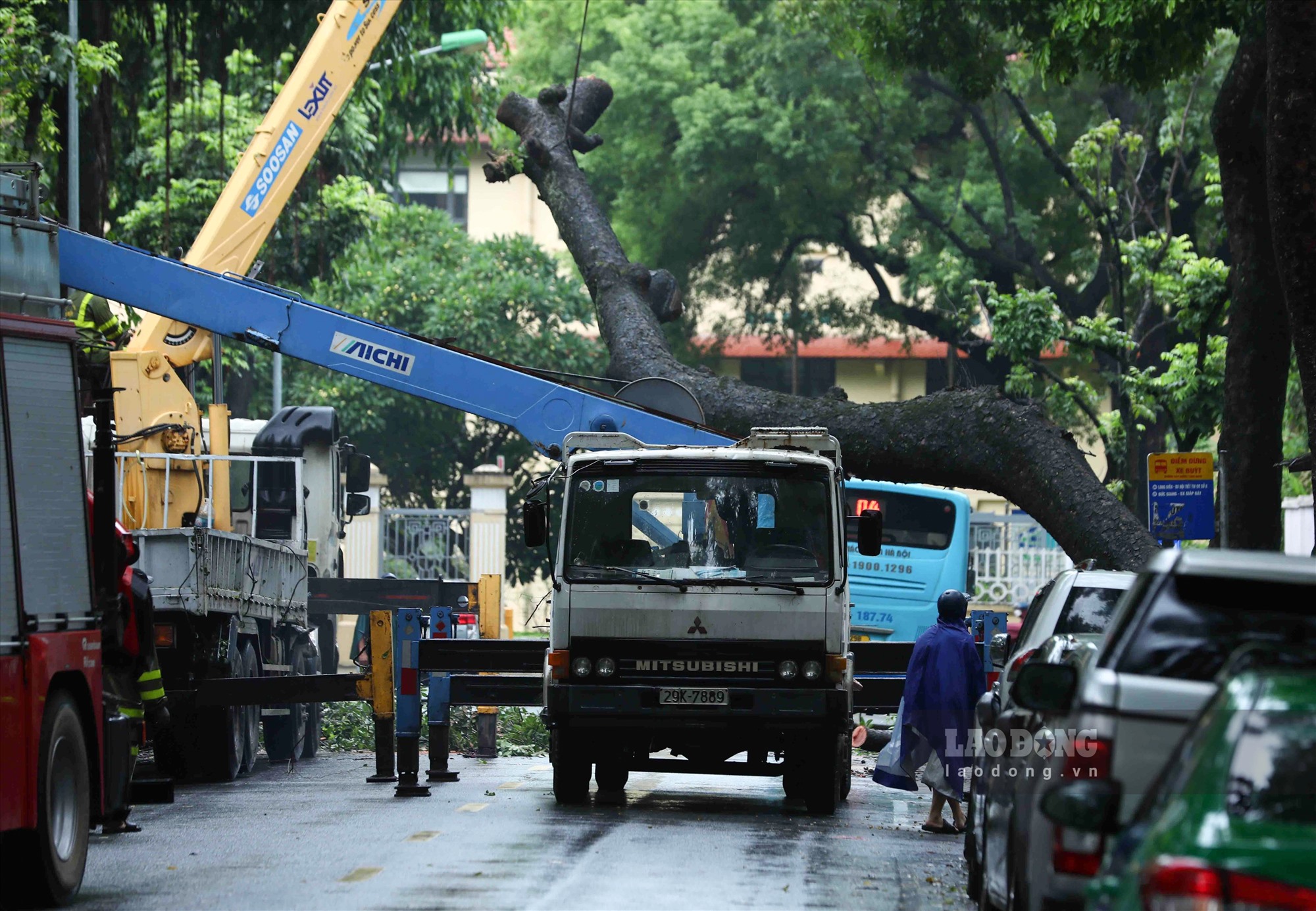 Đoạn phố Tăng Bạt Hổ phải tạm cấm xe trong thời gian lực lượng chức năng xử lý hiện trường vụ cây đổ.