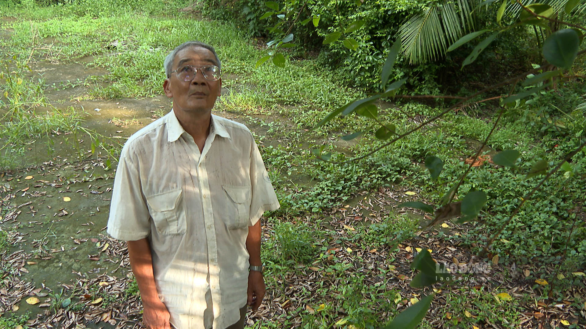 Ông Lâm Văn Huy xã Gia Hòa 1, huyện Mỹ Xuyên (Sóc Trăng) thường xuyên ra vườn để thăm đàn chim trời. Ảnh: Phương Anh