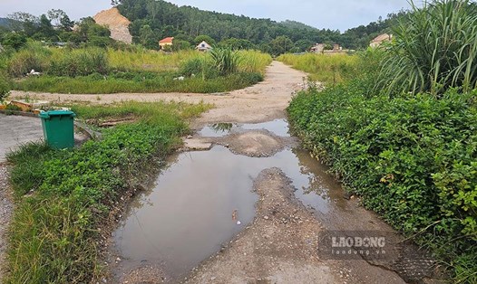 Đoạn đường lầy lội nhất tại ngõ 13, khu 5A, phường Quang Trung, TP Uông Bí. Ảnh: Đoàn Hưng