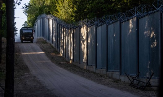 Bức tường biên giới Ba Lan - Belarus gần Bialowieza, miền đông Ba Lan. Ảnh: AFP