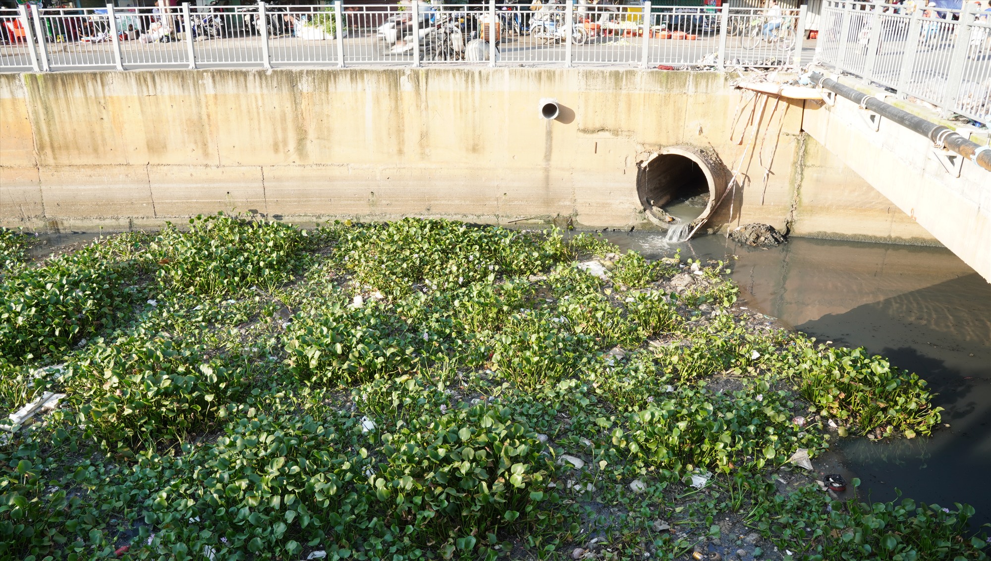 Ghi nhận của Lao Động, Đoạn giao với kênh Tham Lương dày đặc lục bình cùng rác thải trôi dạt về đây.