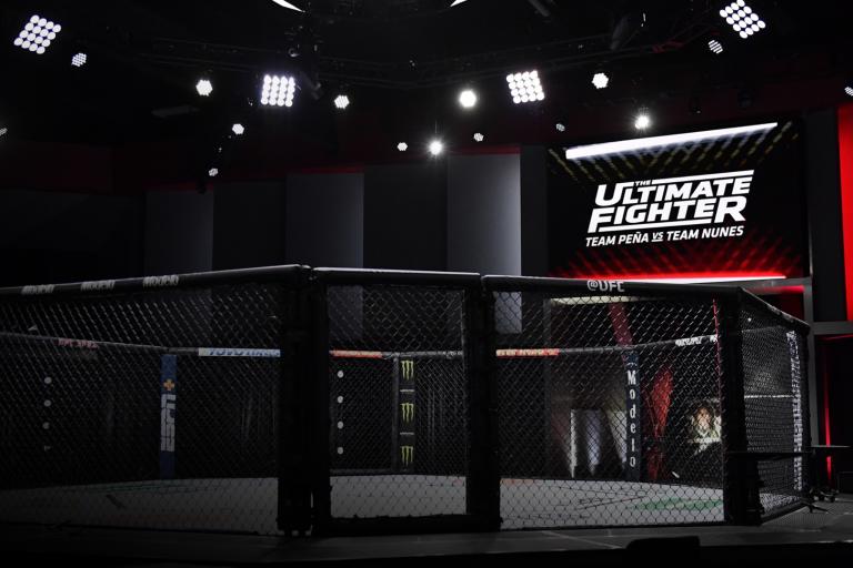 Trận đấu giữa ông chủ Meta và người đứng đầu Tesla dự kiến sẽ có giá vé kỷ lục. Ảnh minh họa: UFC