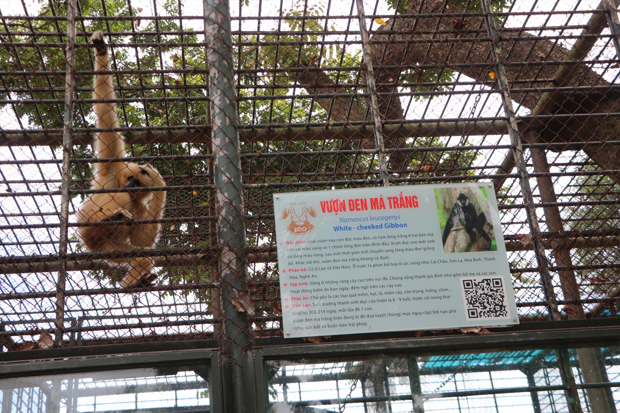 Tuy nhiên, nhiều người dân, du khách vẫn chưa thực sự hài lòng về điều kiện sống của các loài động vật đang được nuôi nhốt ở vườn thú này.