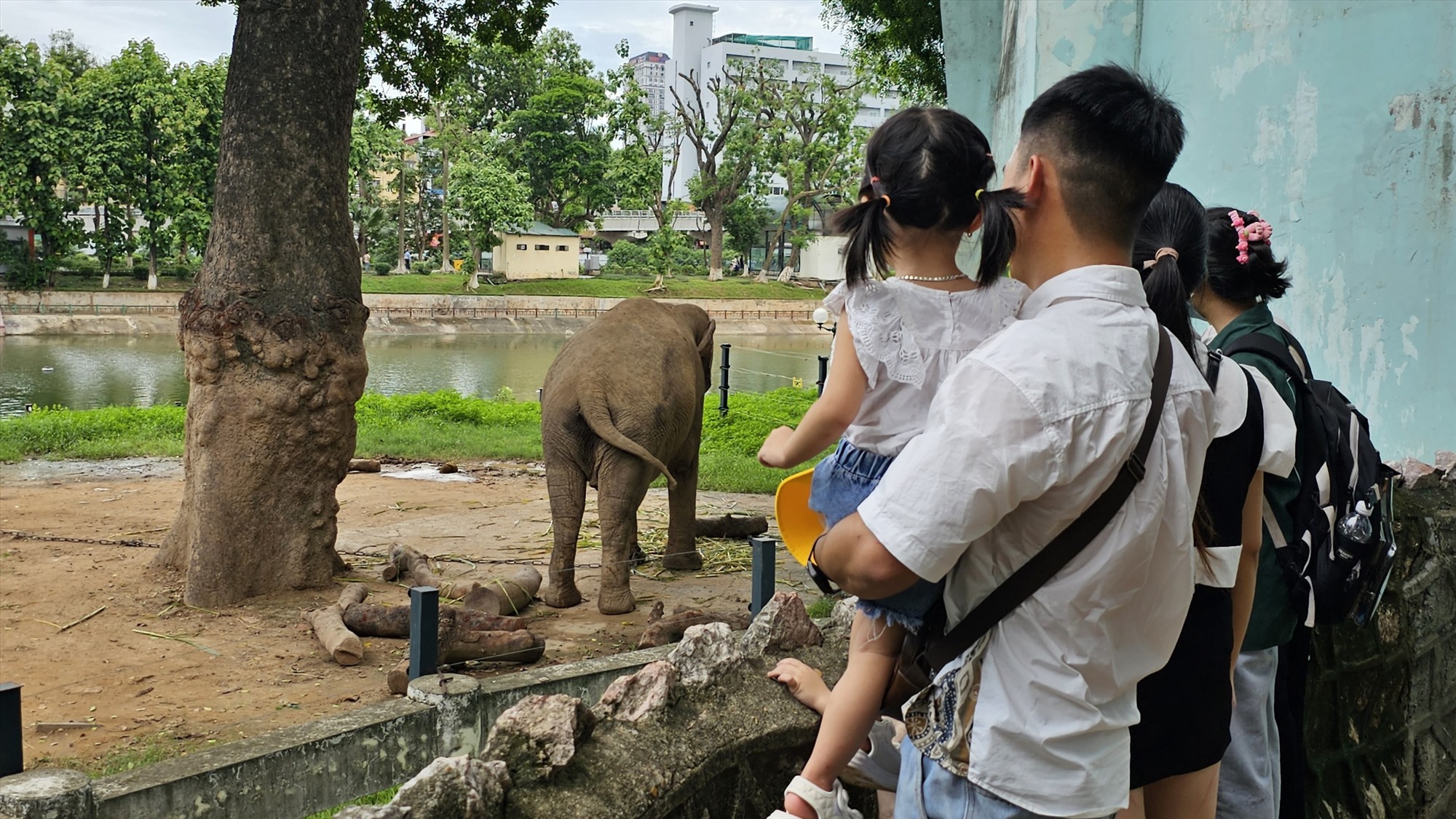 Vườn thú Hà Nội là một trong những địa điểm được nhiều người dân, du khách chọn làm địa điểm để đưa con em đến tìm hiểu, thư giãn.