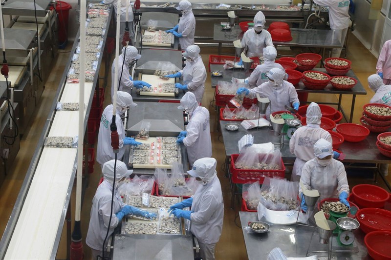 Agribank dành 3.000 tỉ đồng cho vay ưu đãi lĩnh vực lâm, thủy sản