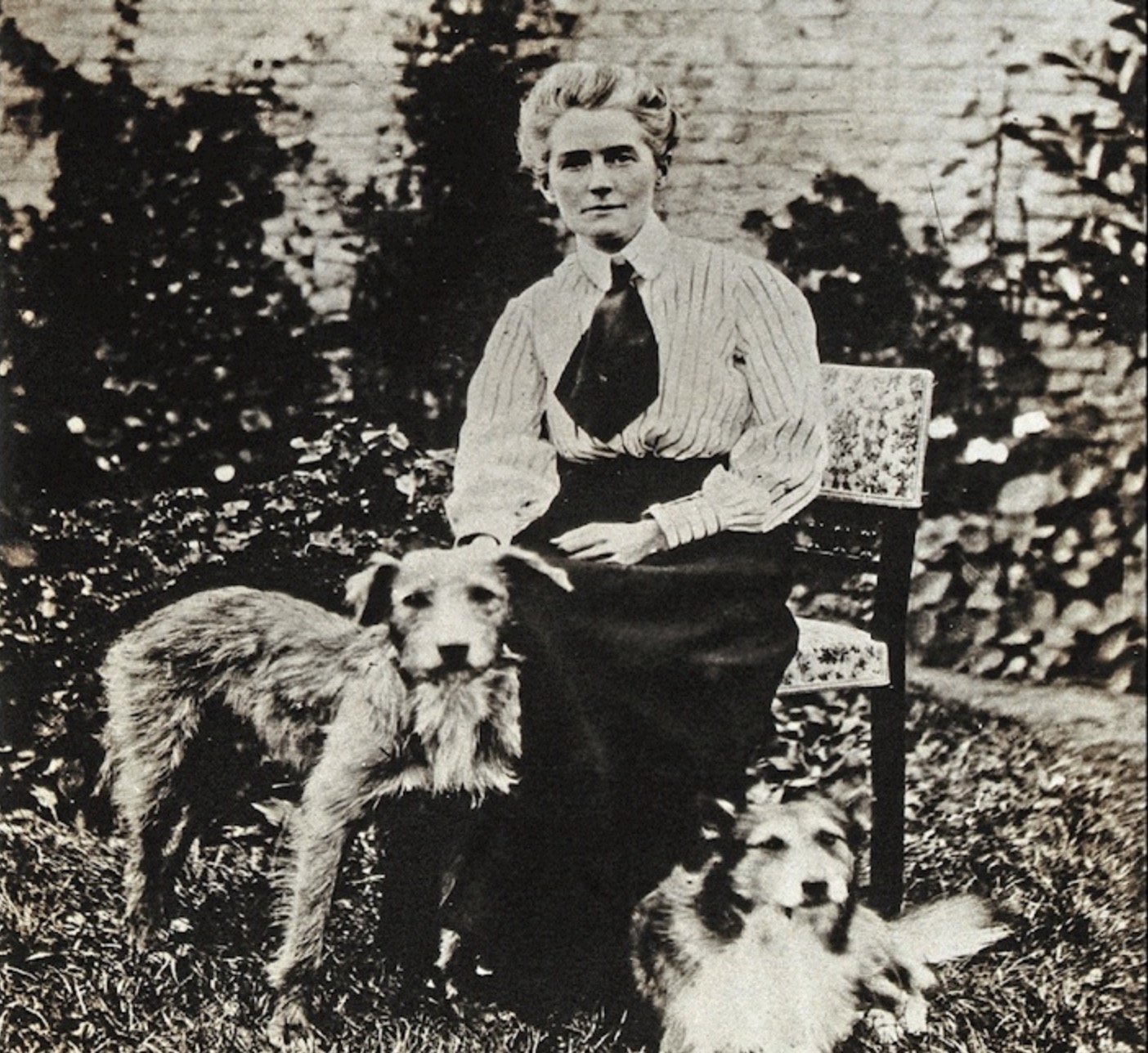 Bức ảnh của y tá Edith Cavell và hai chú chó Jack và Don của mình. Ảnh: 