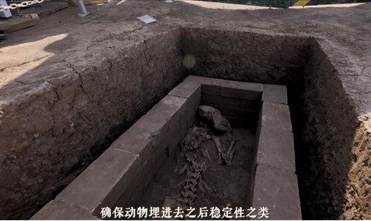 Một bộ xương gấu trúc đầy đủ được phát hiện trong lăng mộ của Hán Văn Đế tại Tây An, Trung Quốc. Ảnh: Cơ quan quản lý di sản văn hóa tỉnh Thiểm Tây