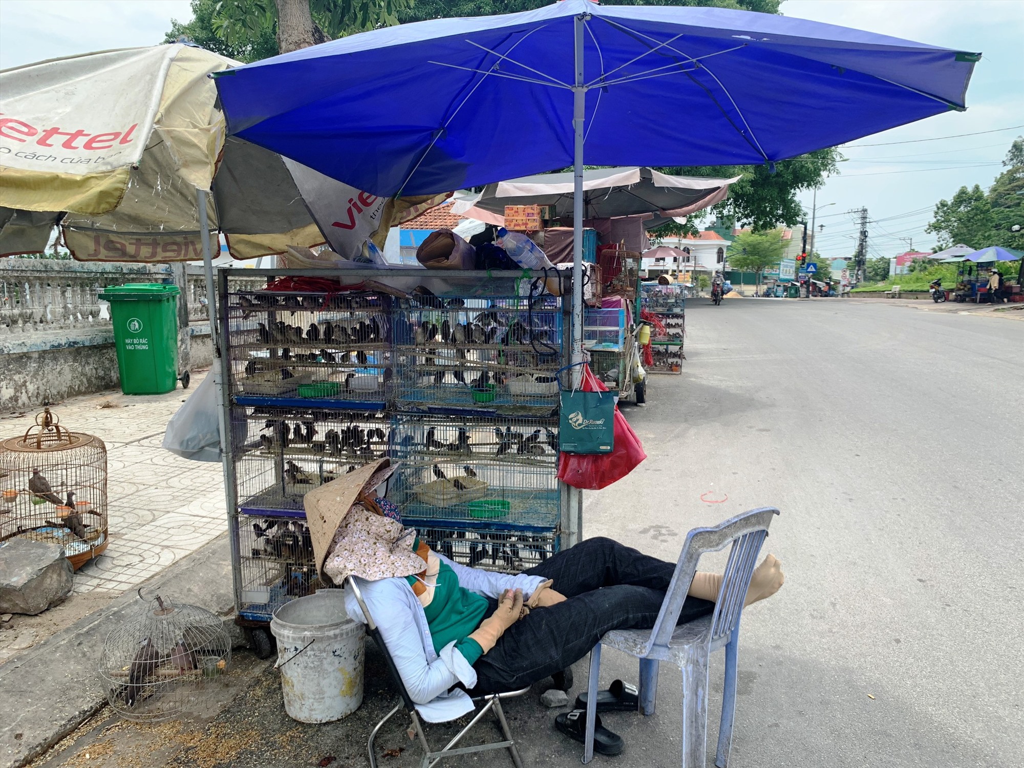 Các điểm bán chim trời tràn lan trên đường Trần Văn Trà, TP.Quảng Ngãi. Ảnh: Ngọc Viên