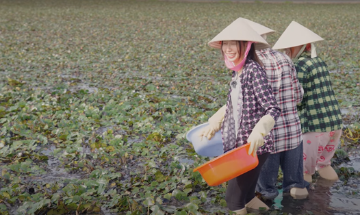 Thùy Tiên, Đức Phúc, MisThy hào hứng thu hoạch củ ấu miền Tây. Ảnh: Nhà sản xuất