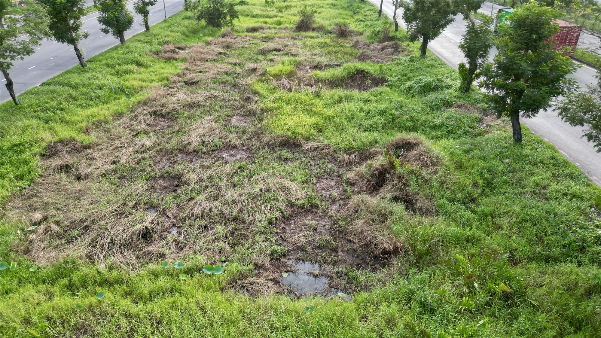 Hiện nay, đoạn giữa đường Nguyễn Văn Linh vẫn là khu đất trống đọng nước, đầy cỏ dại... Nhiều cây cỏ đã chết khô.