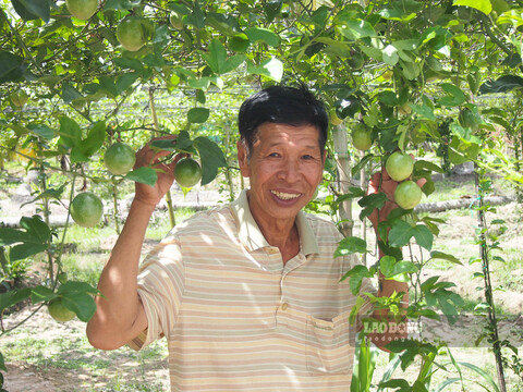Với sự sáng tạo trong lao động sản xuất, nhiều năm liền ông Nguyễn Hữu Công (Song Phụng, Long Phú, Sóc Trăng) là nông dân sản xuất giỏi cấp trung ương, cấp tỉnh. Năm 2023, ông là một trong 63 Nông dân Việt Nam xuất sắc