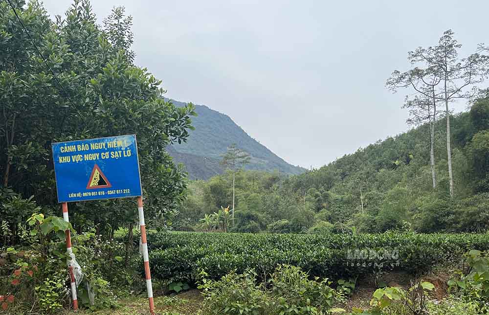Thời điểm đầu tháng 9.2023, những tấm biển cảnh báo sạt lở vẫn được cắm dày đặc trên đường vào thôn Ao Soi. Ảnh: Nguyễn Tùng.