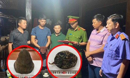 Công an tỉnh Lai Châu vừa bắt giữ đối tượng mua bán sừng tê giác trái phép. Ảnh: CACC