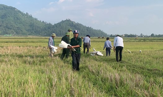 Những ngày vừa qua, ngành chức năng Hà Tĩnh đã tiến hành thu gom, tiêu hủy dụng cụ bẫy chim trời ở huyện Lộc Hà. Ảnh: Lâm Tuấn.
