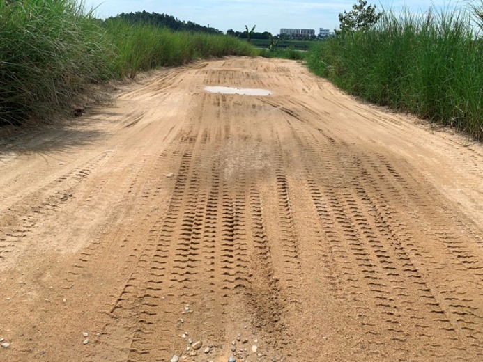 Con đường độc đạo dẫn ra bãi cát ở khu dân cư số 4, thôn Thọ Lộc Tây, xã Tịnh Hà vẫn chằng chịt bánh xe tải còn rất mới. Ảnh: Ngọc Viên