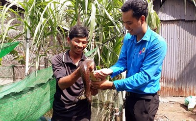 Anh Thạch Chanh Đô Ra, dân tộc Khmer (Châu Thành, Sóc Trăng) đã thành công với mô hình nuôi trồng tổng hợp cho thu nhập trên 400 triệu đồng/năm. Ảnh: TTXVN