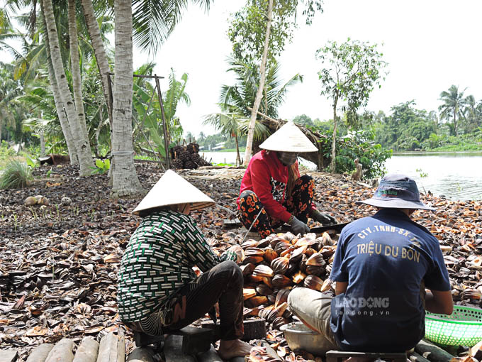 Tại ấp Phước An A (Mỹ Phước, Mỹ Tú, Sóc Trăng) có hơn chục hộ chuyên sống nhờ kinh doanh cơm dừa nước tươi, nơi đây còn được gọi là “xóm dừa nước”.