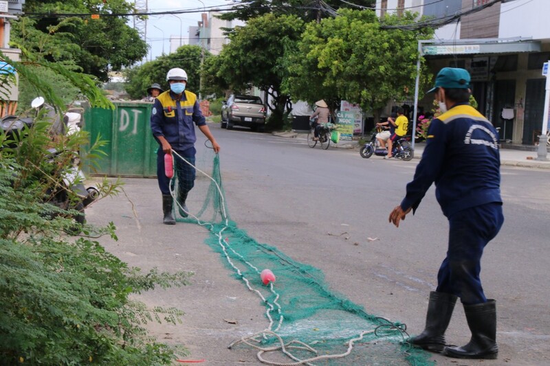 Công nhân dùng lưới để vớt cá.