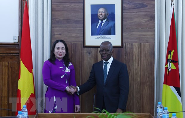 Phó Chủ tịch nước Võ Thị Ánh Xuân với Thủ tướng Cộng hòa Mozambique Adriano Maleiane. Ảnh: TTXVN