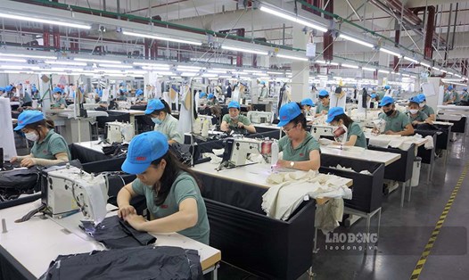 Công ty TNHH May mặc Hoa Lợi Đạt (Hải Hà) Việt Nam có 2.100 lao động trong đó, 80% là lao động nữ. Ảnh: Đoàn Hưng