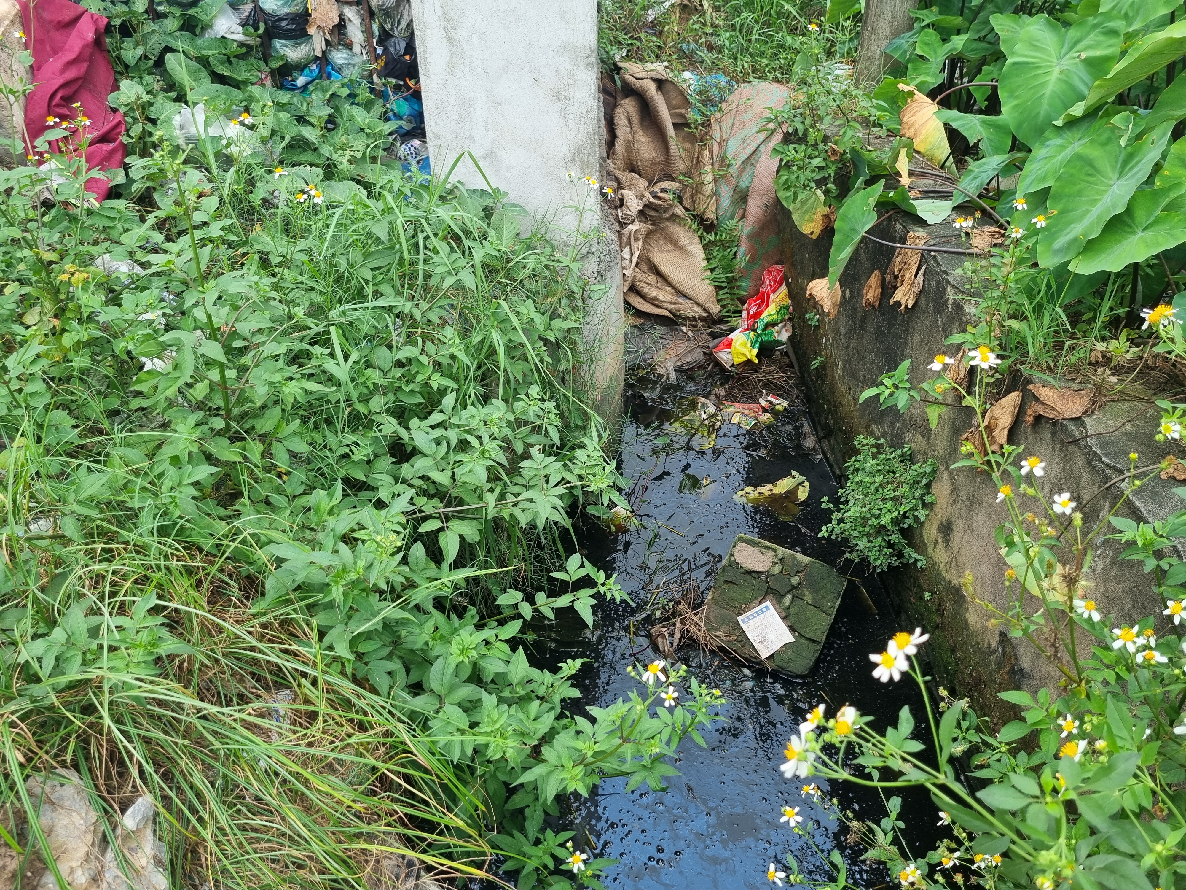 “Việc nước ở bãi rác chảy xuống mương máng là không tránh được, nhất là mùa mưa. Hiện tại, quy hoạch đất của địa phương không còn khu vực nào phù hợp để di chuyển nên vẫn đợi phương án, hỗ trợ từ cấp trên” - ông Tứ nói.