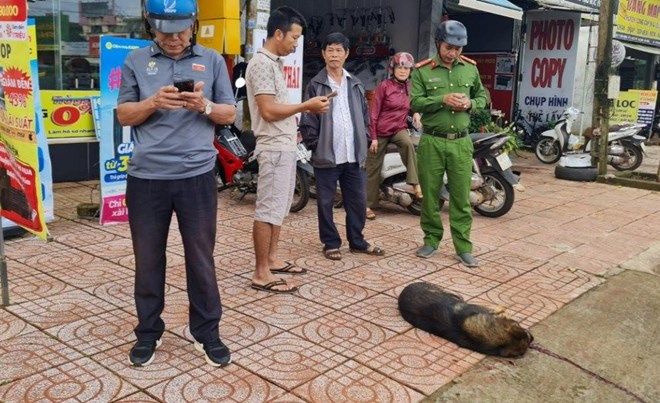 Con chó tấn công 2 học sinh ở Đắk Nông mắc virus bệnh dại