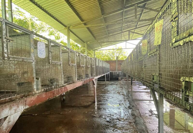 Trại nuôi Cầy vòi hương của cơ sở ông Huỳnh Viên Mãn tại xã Đại Hưng, huyện Đại Lộc, tỉnh Quảng Nam. Ảnh: Phước Phú