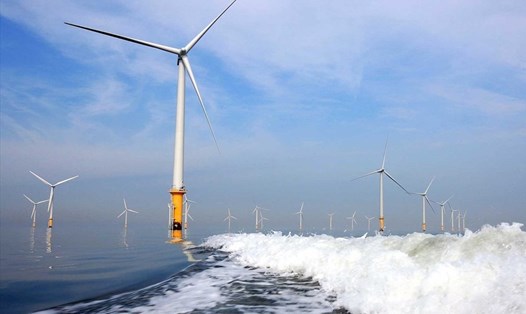 Nghiên cứu việc giao EVN và doanh nghiệp trong nước thí điểm triển khai dự án điện gió ngoài khơi. Ảnh: Gwec