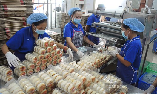 Các cơ sở bánh Pía ở Sóc Trăng đang vào mùa sản xuất cao điểm trong năm. Ảnh: Phương Anh
