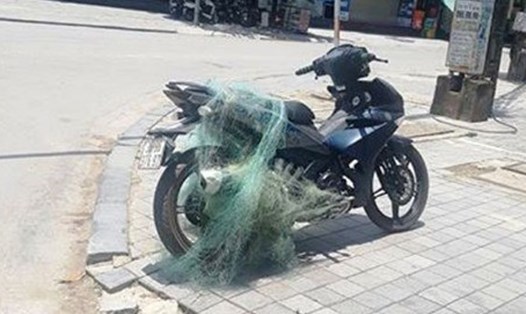 Chiếc xe vi phạm bị cảnh sát giao thông TP Thanh Hoá dùng súng bắn lưới khống chế. Ảnh: Lam Sơn.