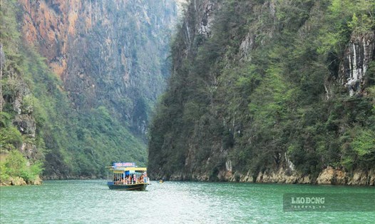  Tàu du lịch trên sông Nho Quế đưa khách ngắm hẻm Tu Sản dừng hoạt động. Ảnh: Nguyễn Tùng.
