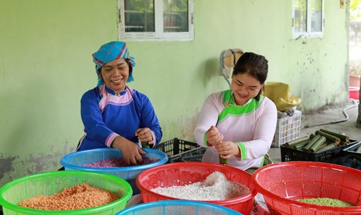 Người dân thôn Ún Tà, xã Cốc San, thành phố Lào Cai nhộn nhịp làm cơm lam để hôm sau đưa xuống núi. Ảnh: An Nhiên