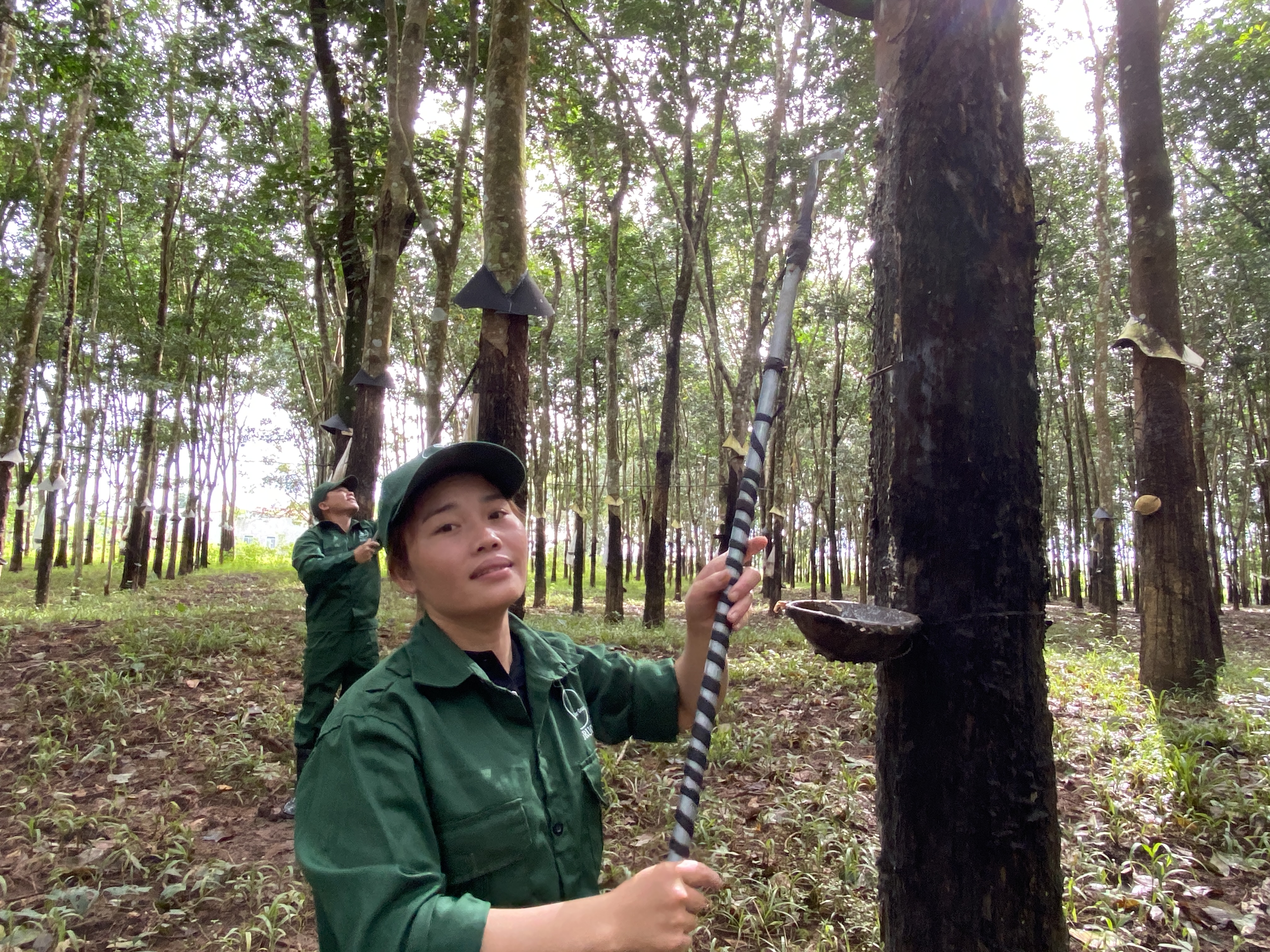 Đời sống công nhân cao su Kon Tum ổn định, có thời gian làm thêm nương rẫy, tăng gia sản xuất. Ảnh: Thanh Tuấn 