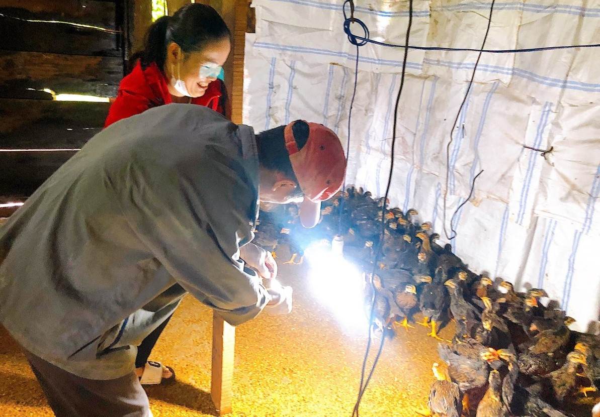 Người lao động ở huyện Đắk Song học nghề chăn nuôi. Ảnh: Bảo Lâm