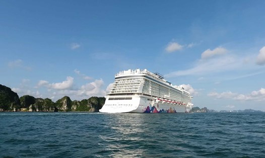 Một tàu biển đưa khách quốc tế đang tiến vào vịnh Hạ Long. Ảnh: Nguyễn Hùng