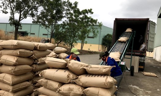 Cà phê Đắk Lắk được đóng gói xuất khẩu sang thị trường châu Âu. Ảnh: Simexco DakLak
