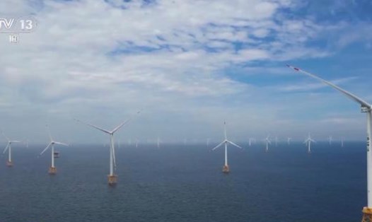 Cơ sở điện gió ngoài khơi lớn nhất thế giới ở Trung Quốc. Ảnh chụp màn hình