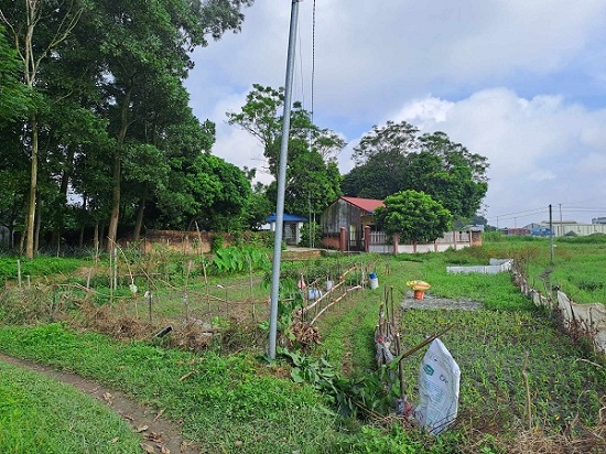 Gia đình bà Đỗ Thị Thu sống giữ dự án, cứ mưa là nước ngập hết đường vào. Ảnh: Minh Hạnh 