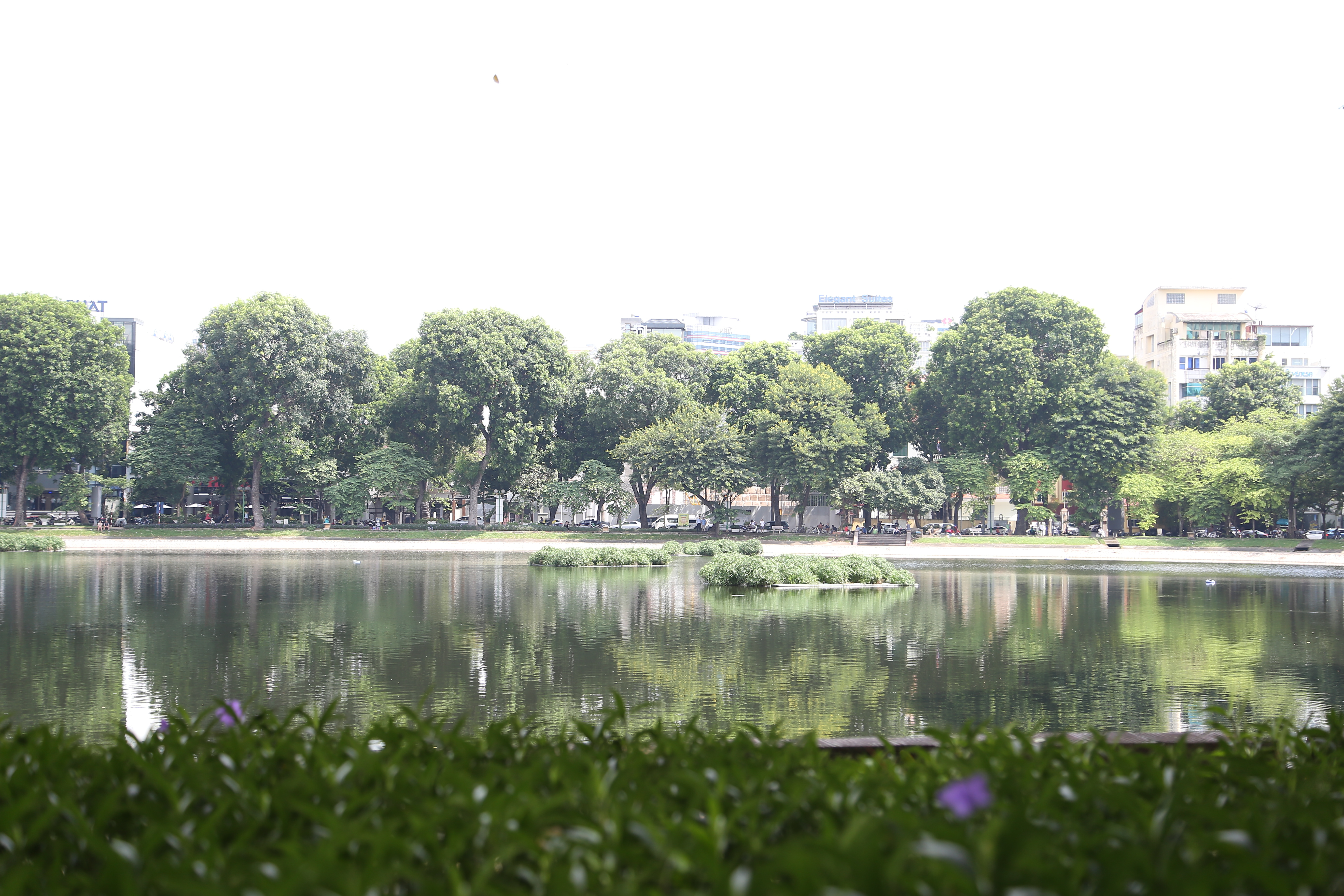 Đề xuất cải tạo cây xanh, đường dạo, các tiện ích đô thị và hệ thống hạ tầng kỹ thuật tại khu vực xung quanh hồ Thiền Quang, Hà Nội. Ảnh: Vĩnh Hoàng