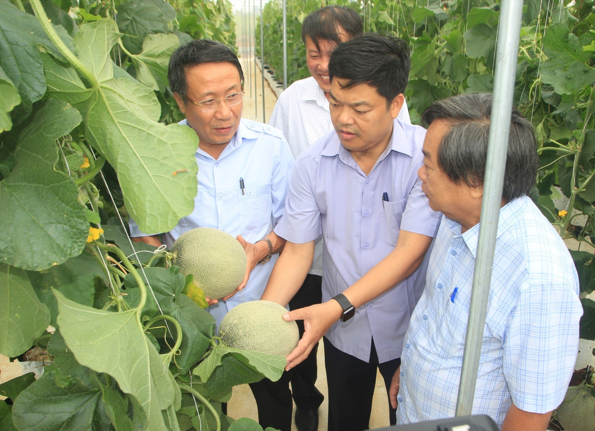 Mô hình nông nghiệp đem lại hiệu quả kinh tế ở tỉnh Quảng Trị. Ảnh: Tiến Nhất.