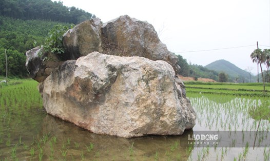 Hoạt động chăn nuôi, canh tác dưới chân mỏ đá Lân Đăm 3 bị ảnh hưởng tiêu cực. Ảnh: Việt Bắc.