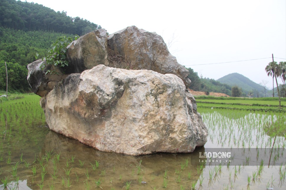 Tại cánh đồng của người dân không khó bắt gặp những tảng đá lớn nằm chình ình giữa đồng ruộng. Ảnh: Việt Bắc.