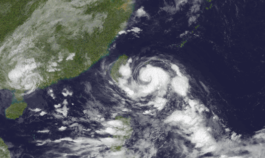 Vào hồi 1h ngày 3.9, bão Haikui có sức gió 144 km/h, giật 167 km/h. Ảnh: Cyclocane