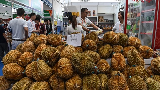 Gian hàng sầu riêng Việt Nam trong Hội chợ triển lãm Trung Quốc-ASEAN lần thứ XX tại Trung tâm Triển lãm và Hội nghị Quốc tế Nam Ninh (Khu tự trị dân tộc Choang Quảng Tây, Trung Quốc, ngày 18.9.2023). Ảnh: Xinhua