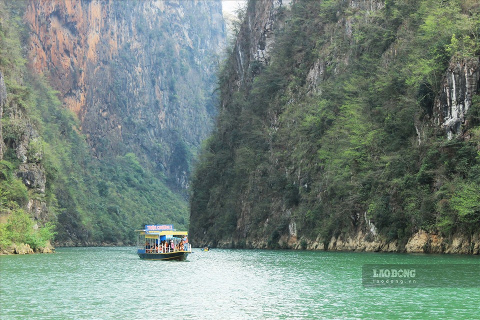 Tàu du lịch trên sông Nho Quế hoạt động trở lại sau 5 ngày tạm ngừng. Ảnh: Phong Quang