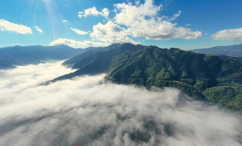 Nhiều người vỡ òa với khung cảnh hùng tráng mây trườn từ trên đỉnh núi Khau Phạ xuống ruộng bậc thang đang mùa lúa chín.
