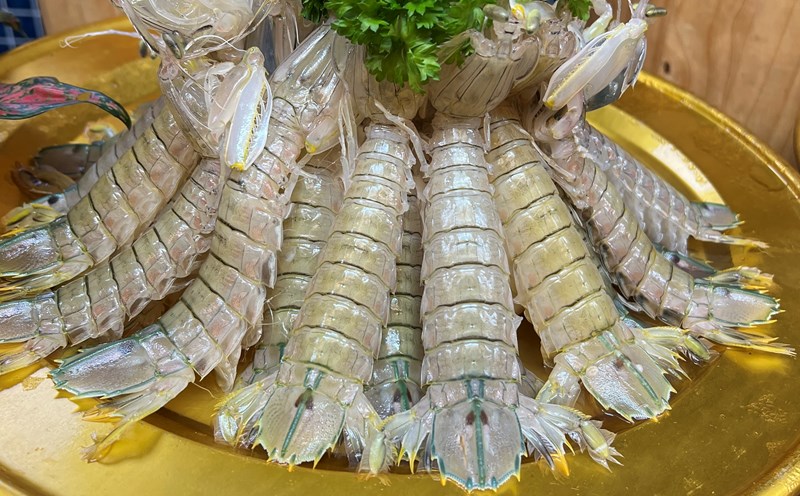 Dị ứng thời tiết | LAODONG.VN