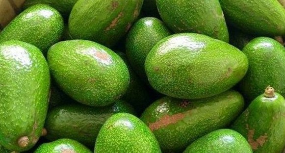 Bơ là loại trái cây người đại tràng có thể nên ăn. Ảnh: Phạm My