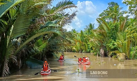 Vùng Nam sông Hàm Luông sẽ phát triển theo hướng tổng hợp đa ngành, đa lĩnh vực. Trong đó, có du lịch sinh thái nông nghiệp. Ảnh: Thành Nhân